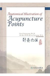 Anatomical Illustration of Acupuncture Points