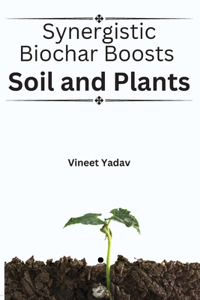 Synergistic Biochar Boosts Soil and Plants