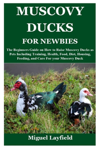 Muscovy Ducks for Newbies