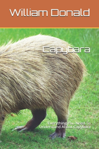 Capybara: Everything You Need To Understand About Capybara