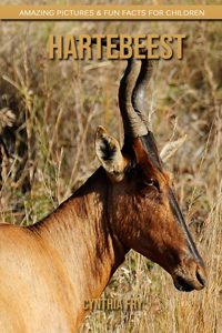 Hartebeest