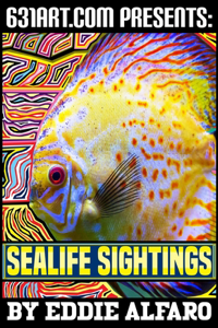 Sea Life Sightings