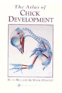 The Atlas of Chick Development
