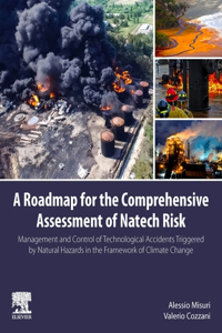 Roadmap for the Comprehensive Assessment of Natech Risk