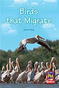 Birds That Migrate