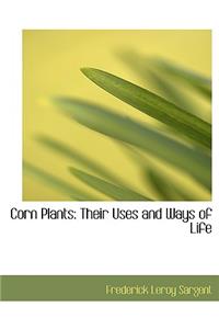 Corn Plants