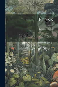 Ferns