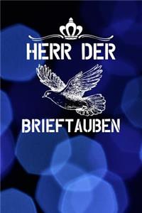 Herr der Brieftauben
