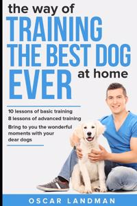 The Way of Training the Best Dog Ever at Home