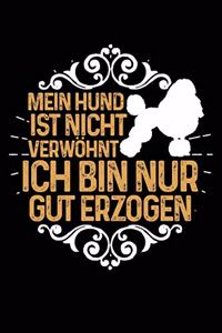 Nicht Verwöhnt (Pudel)