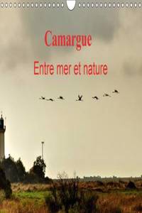 Camargue Entre Mer Et Nature 2017