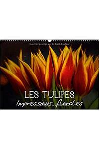 Tulipes Impressions Florales 2017