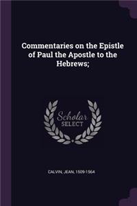 Commentaries on the Epistle of Paul the Apostle to the Hebrews;