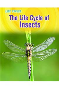 Life Cycles Life Cycle of Insects