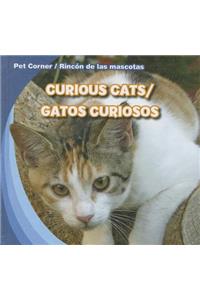 Curious Cats/Gatos Curiosos