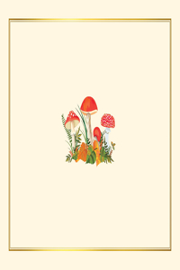 Mushrooms Note Cards (14 Cards, 15 Self-Sealing Envelopes)