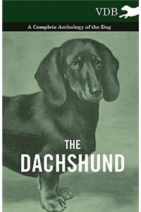 Dachshund - A Complete Anthology of the Dog -