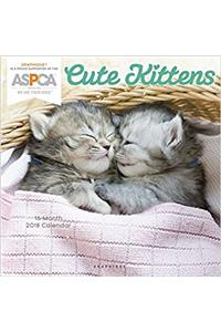 Cute Kittens Aspca 2018 Calendar