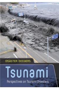Tsunami Perspectives on Tsunami Disasters (Disaster Dossiers)