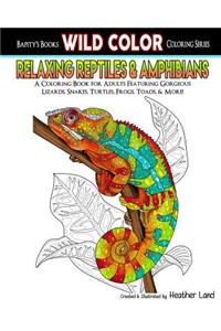 Relaxing Reptiles & Amphibians