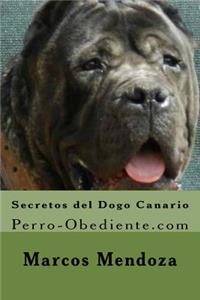 Secretos del Dogo Canario