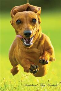 Dachshund May Notebook Dachshund Record, Log, Diary, Special Memories, to Do List, Academic Notepad, Scrapbook & More