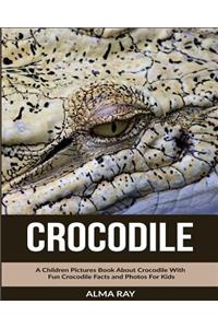 Crocodile