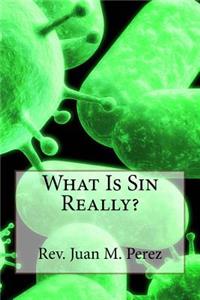 What Is Sin Really?