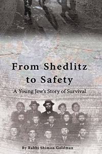 From Shedlitz to Safety