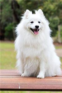 Sweet Happy Fluffy White Spitz Puppy Dog Pet Journal