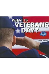 What Is Veterans Day?