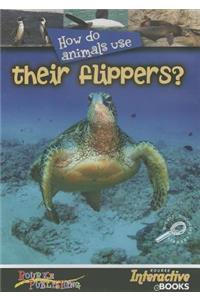 How Do Animals Use Their Flippers?