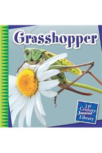 Grasshopper