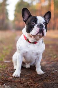 French Bulldog Frenchie Lovers 2020 Weekly Monthly Planner