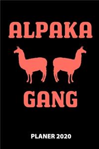 Alpaka Gang Planer 2020