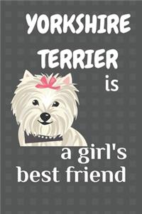 Yorkshire Terrier is a girl's best friend