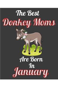 The Best Donkey Moms Are Born In January