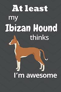 At least My Ibizan Hound thinks I'm awesome