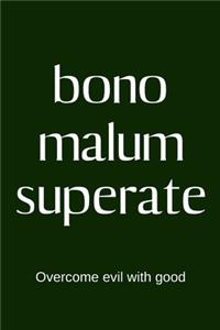 bono malum superate - Overcome evil with good