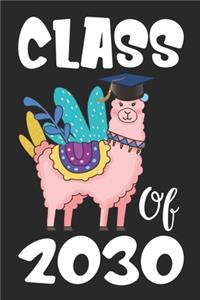 Class of 2030: Llama First Day Of School Notebook - Grow With Me Graduation Journal - First Day Of Kindergarten Gift Notebook