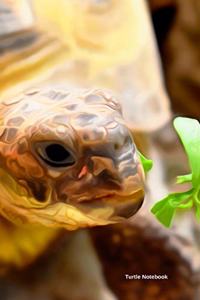 Turtle Notebook