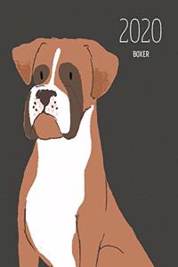2020 Boxer