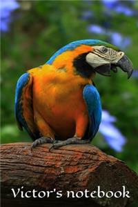 Victor's notebook, journal, size 6x9, 100 pages