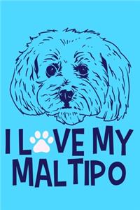 I Love My Maltipo