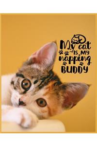 My Cat is My Napping Buddy