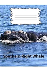Southern Right Whale Wide Ruled Line Paper Composition Book