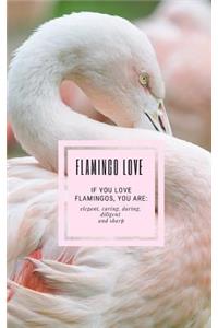 Flamingo Love