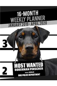 2019-2020 Weekly Planner - Most Wanted Doberman Pinscher