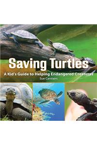 Saving Turtles