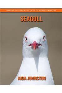Seagull: Amazing Pictures & Fun Facts on Animals in Nature